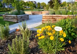 Sarà il parco Giardino dell'Infinito ad ospitare l'oasi dove sarà seminata una miscela di piantine i cui fiori sono fra i più apprezzati dalle api