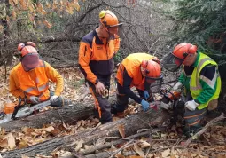 Si è concluso venerdì 18 marzo il primo corso motosega organizzato a Busca dall'ente Engim Formazione di Chieri