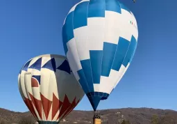 Mongolfiere dal parco Ingenium