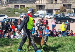 AAA Piccoli volontari cercansi- Sai