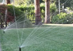 In questo periodo di siccità occorre risparmiare l'acqua potabile e pertanto non usarla per  bagnare i giardini, riempire piscine e lavare le auto