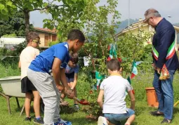  Festa dell'albero e della Pace