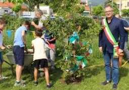  Festa dell'albero e della Pace