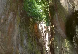 I canyon della cave dell'alabastro rosa di Busca