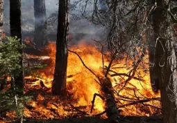 Da domani revocato lo stato di massima pericolosità per gli incendi boschivi