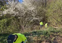 Raccolta rifiuti per strada