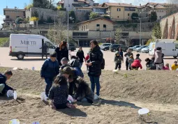 +Api: nuova oasi per la biodiversità