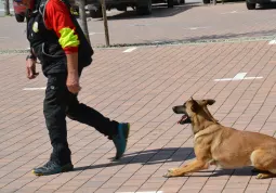 Piccoli volontari Protezione civile e Sai Carabinieri