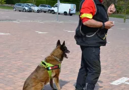 Piccoli volontari Protezione civile e Sai Carabinieri