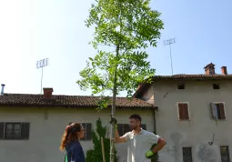 Nuovi nati - Albero della leva 2022