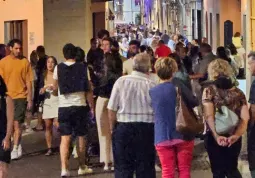 Busca Summer Party 
