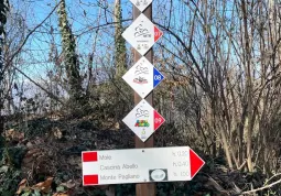 Circuito sentieri collinari Busca - Rossana - Costigliole - Villar