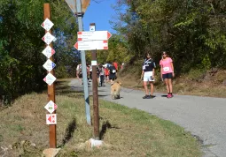 Circuito sentieri collinari Busca - Rossana - Costigliole - Villar