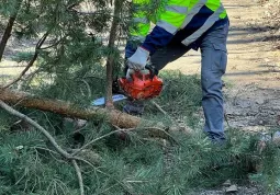 Pulizia per la prevenzione