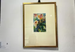 Inaugurazione Mostra Maria Rosa Ravera Aira