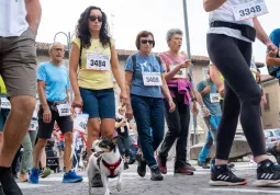 Fitwalking Solidale Busca 2025