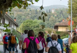 Fitwalking Solidale Busca 2025