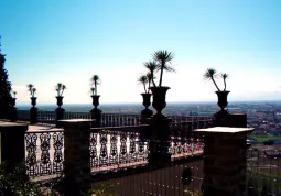 TerrazzoDalie
