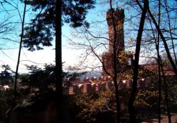 TettoNuovaAla