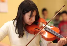 Violino