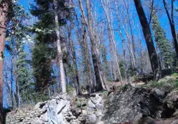 cascate2
