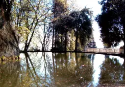 stagno