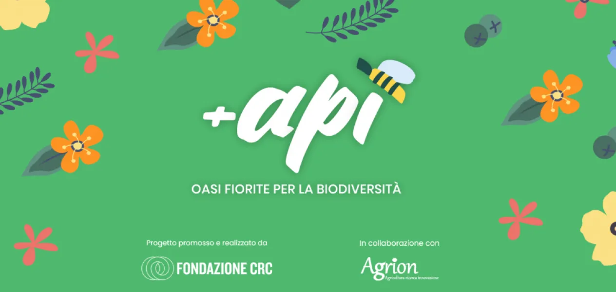 Il Comune  aderisce al progetto “+Api Oasi fiorite per la biodiversità” promosso da Fondazione Crc, in collaborazione con Fondazione Agrion, che ha l’obiettivo di diffondere la biodiversità attraverso la creazione di oasi fiorite per le api e gli altri insetti impollinatori