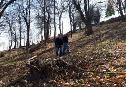 Forestali della Regione al lavoro in città