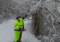 I volontari della Protezione civile comunale sono  intervenuti sulle strade collinari per rimuovere rami piegati e spezzati dalla neve