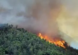 Da domani vietate le azioni che possono determinare l’innesco di incendio