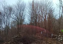 Liberato dalla boscaglia il ripetitore telefonico a  Valmala