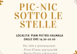 Pic-nic sotto le stelle il 10 agosto