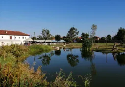 Il parco del museo