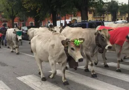 Un'immagine del passaggio in centro dagli scorsi anni