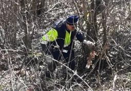 Raccolta rifiuti per le strade - Volontari Protezione civile comunale