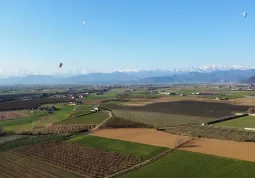 Mongolfiere dal parco Ingenium