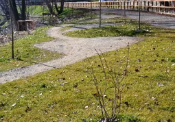 Percorso fluviale gennaio 23