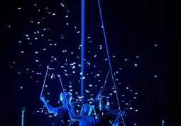 Un'immagine dallo spettacolo
