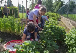 Gli orti in condotta sono piccoli appezzamenti curati dagli alunni 