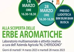 Laboratorio sulle erbe aromatiche gratuito e riservato alle famiglie