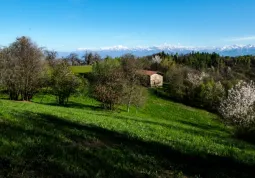 Un'immagine di repertorio della collina buschese