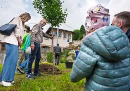 La messa a dimora dell'acero campestre