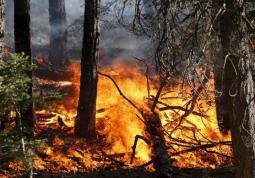Da domani revocato lo stato di massima pericolosità per gli incendi boschivi