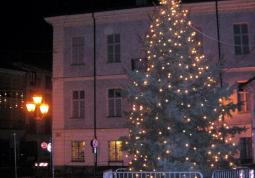 L'albero di Natale in piazza della Rossa, salotto del centro città e... crocevia degli eventi natalizi